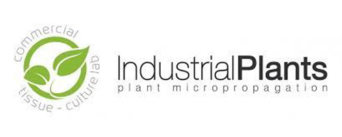 Industrial Plants